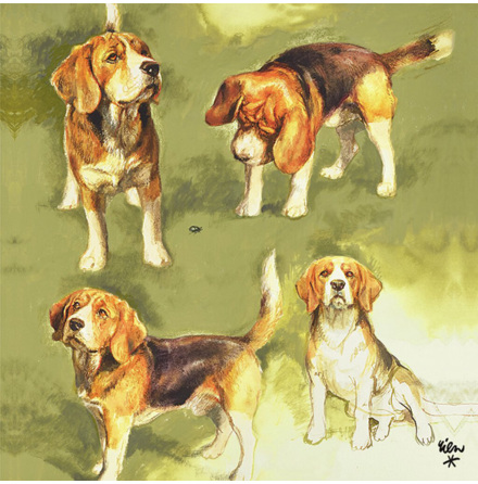 Pappersservetter Beagle