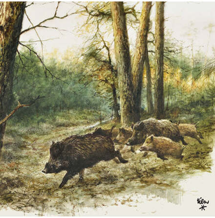 Pappersservetter vildsvin