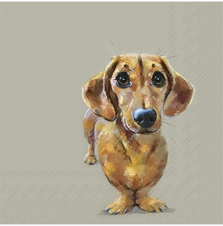 Fritzmann Pappersservetter Dog Buddy 20-pack