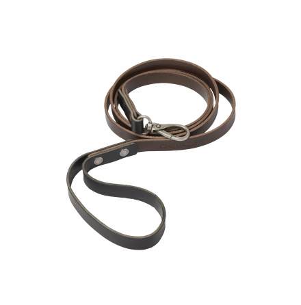 Chevalier Dog Leash