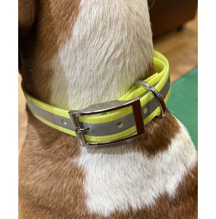 Halsband till DC50 & T5 med reflex. Gul