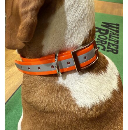 Halsband till DC50 & T5 med reflex. Orange
