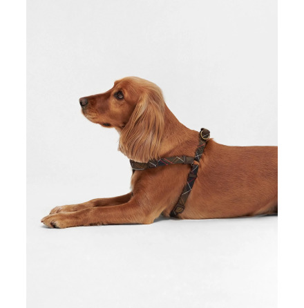 Barbour Tartan 5 Way Adjustable Harness S