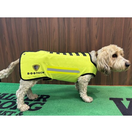 Dogtech One Grundvst Gul 