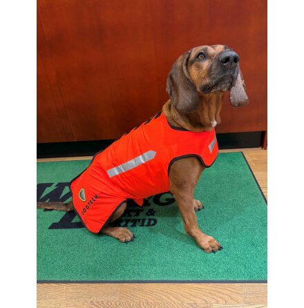 Dogtech One Grundvst Rd
